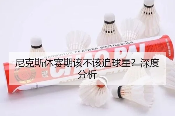 尼克斯休赛期该不该追球星？深度分析